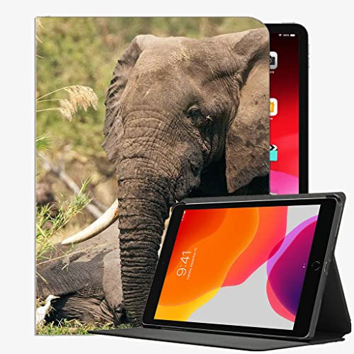 Für iPad Pro 12,9 cl