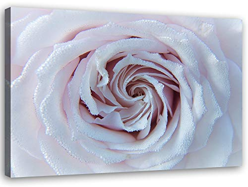 Feeby Wandbild Rose Druckbild Leinwandbild für Wohnzimmer Weiß 60x40 cm