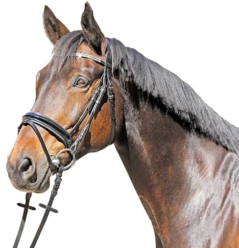 HKM Euroriding Trense Grasse schwedisches Reithalfter mit Lack, Größe:Pony, Farbe:schwarz