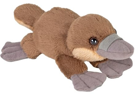 Wild Republic Pocketkins Eco Ornitorrinco, Peluche, 13 cm, Juguete de Peluche, Respetuoso con el Medio Ambiente