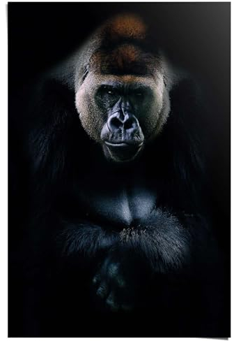 REINDERS Poster, Gorilla, Schlafzimmer, Poster, Wanddeko, Room Decor, 150 gr. glänzend Bilderdruckpapier, Schwarz, 91,5x61cm