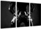 Pixxprint Sexy Domina im Latexkostüm, Monochrome, Leinwandbild 3 Teilig, Gesamtmaß: 120x80cm, Wandbild, Dekoration, fertig gespannt, Kein Poster