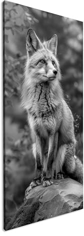 Leinwandbild Fuchs im Herbstwald, aufmerksam und elegant, Fell leuchtet golden. Panorama Format: 80x40 cm Effekt: Schwarz&Weiß XXL Kunstdruck Bild auf Keilrahmen/Wandbild/Wohnzimmer Deko