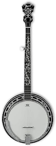 Ibanez B300 5-string Resonator Banjo