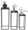 2er Set Säulentisch Blumenhocker Metall Eckig Satztisch Pflanztisch Industriestil Schwarz