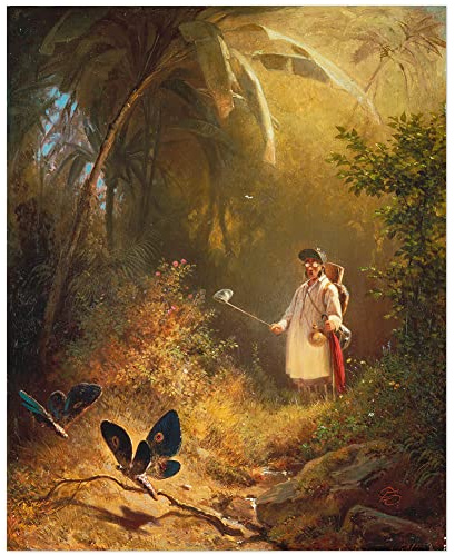 JUNIWORDS Poster, Franz Carl Spitzweg, Der Schmetterlingsfänger, 60 x 48 cm (3000489)