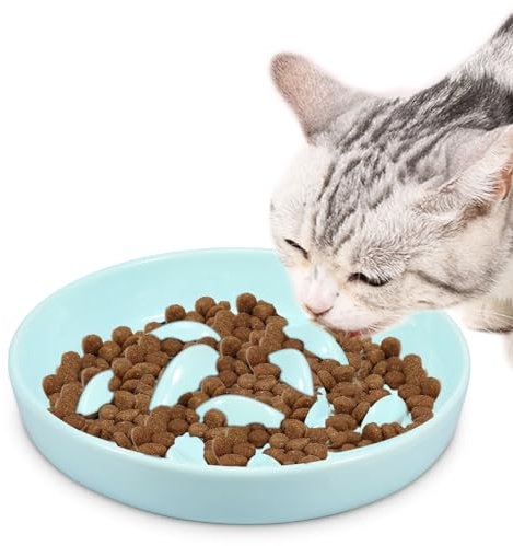 Gamelle anti-glissement en céramique pour chat - Gamelle pour chat - Nourriture lente - Gamelle pour chat - Ralentissement - Forme de poisson interactive - Gamelles pour chats et petits chiens