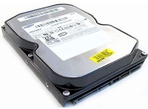 IBM 200 GB SATA II SP2004C interne Festplatte