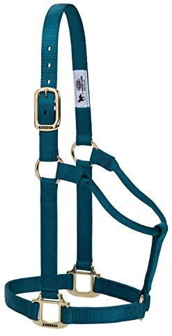 Weaver Leather Unisex-Erwachsene 2,5 cm Orig Non-ADJ AV HLTR, TE Halfter, Petrol, Average Horse