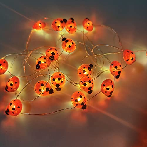 DINOWIN LED Lichterkette Marienkäfer Design 9.8Ft 30 LED Ladybird LEDs Kupferdraht Lichterketten Akku Maikäfer DIY Weihnachten Lichterkette für Zimmer, Garten, Party, Weihnachten (Rot)