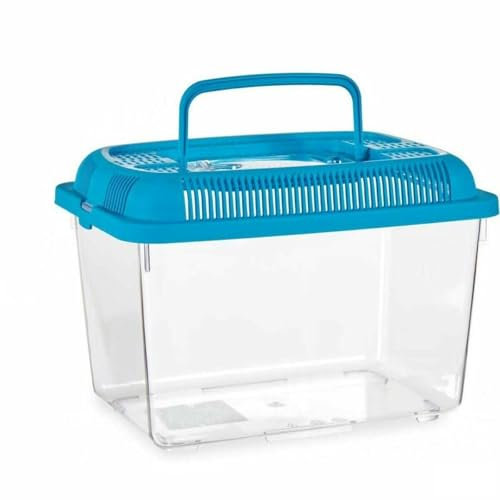 Mascow Fischglas, Standard