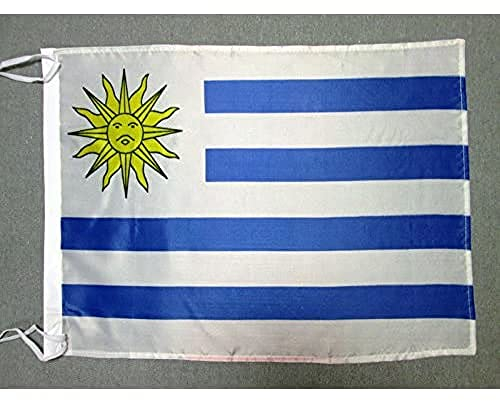 AZ FLAG Bandera de Uruguay 45x30cm - BANDERINA URUGUAYA 30 x 45 cm cordeles Poliester Ligero