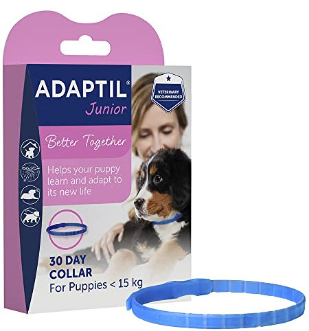 ADAPTIL Junior-Halsband für Welpen, verstellbar, nachweislich hilft, Nachtweinen, Komfort zu reduzieren, wenn Sie alleine zu Hause gelassen Werden, Training und Socilisation – Welpe