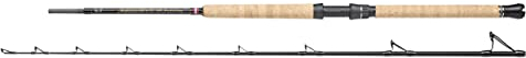 PENN Regiment III Pro Bootsrute – Meeresangelrute mit Korkgriff – Wrack- und Riffangeln – Seeaal, Dorsch, Barsch, Seelachs