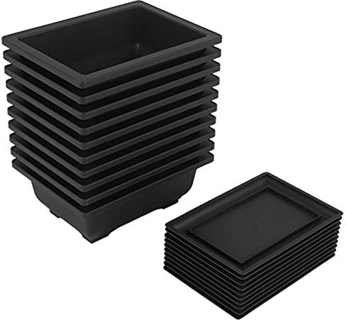 Jevina 10 paquetes de entrenamiento bonsai TTpfe bandeja de plástico bonsái plantas cultivo maceta para jardín patio de estar balcón 16,5 x 12 cm, multicolor