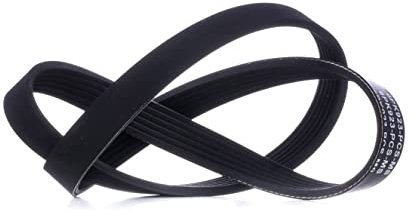 MASTER-SPORT Keilrippenriemen 6PK923-PCS-MS Kompatibel mit: CITROËN JUMPY I, FIAT SCUDO Bus, FORD GALAXY I, MAZDA RX-7 III, PEUGEOT EXPERT, EXPERT Kasten, EXPERT Pritsche/Fahrgestell, SEAT ALHAMBRA