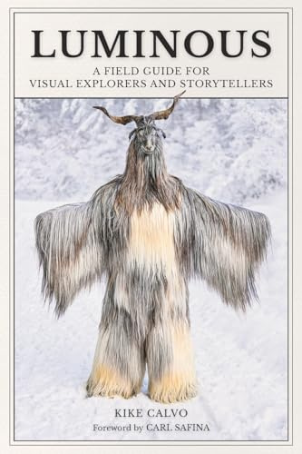 Luminous: A Field Guide for Visual Explorers and Storytellers