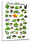 1art1 Cuisine Poster Impression sur Toile Herbes Aromatiques Affiche Murale XXL Encadrée | Tendue sur Cadre en Bois | Tableau 40x30 cm
