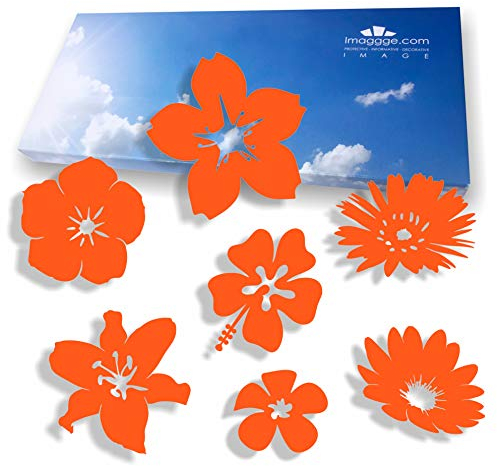 imaggge.com Anti-Kollisions-Aufkleber für Glastüren (18 Blumen) – verhindert Vogelschläge oder Personenschocks auf Fenstern, Farbe: Orange