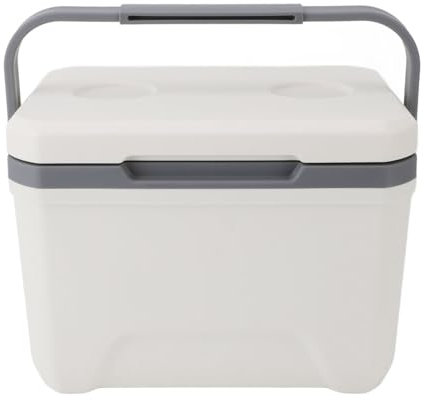 Enforose - Nevera portátil para coche de 6 l, ligera, de poliuretano y polipropileno, para viajes, acampada, camión, etc.