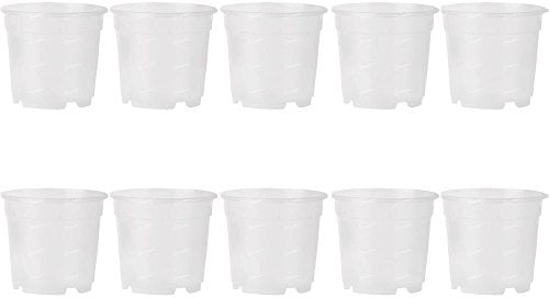 Promo Lot de 10 pots pour orchidées, diamètre 21 cm, entièrement transparents