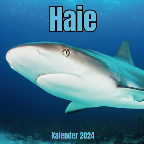 Haie Kalender 2024: Organizer von SEPTEMBER 2023 bis Dezember 2024 , für Haie Liebhaber