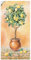 ARTland Wanddeko Wandtattoo selbstklebende Vinylfolie 75x150 cm Botanik Pflanzen Topfpflanze Malerei Creme Zitronenbaum I T5HE