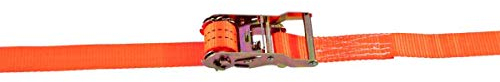 Spanngurt Transport Zurrgurt mit Ratsche 35 mm 1 teilig mit Haken 4 6 8 Meter (4 m)