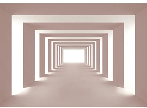 Runa Art Fototapete 3D Effekt 352 x 250 cm Vlies Tapeten XXL Moderne Wandtapete Wohnzimmer Schlafzimmer Rosa 9404011b