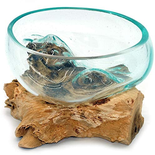 Gedeko Teak Wood Root Decorative Bowl with Glass, Diameter 12-13 cm, Capacity 50 ml, Handmade, Industrial Style, Light Brown Wood Glass, Round Shape, 13-15 cm Length