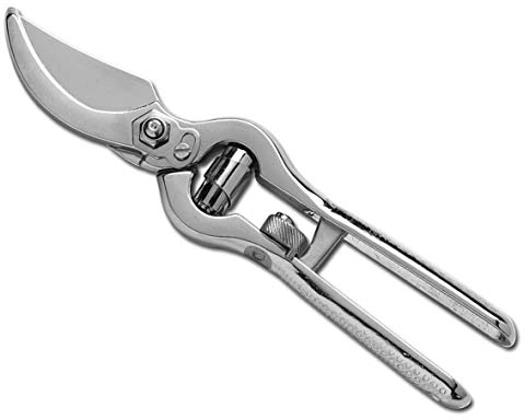 AUSONIA - 31166 PROFI GARTENSCHERE BAUMSCHERE GESCHMIEDET MIT GLÄNZEND VERNICKELTER GEGENKLINGE UND ROLL-SICHERHEITSVERSCHLUSS, IDEAL FÜR BESCHNITT UND GARTENARBEIT 21 CM