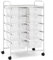 COSTWAY 10 Drawers Storage Cart, Multipurpose Mobile Organizer Shelving Unit with Handle, Removable Drawers & Lockable Wheels, Utility Rolling Trolley for Home Office Beauty (Clear)