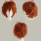 30CM Anime Cosplay Curly Hair Tail Volle Perücken Kurze Perücke Frauen Männer Perücke Wig Kostüm Party Halloween Hellbraun