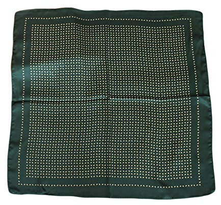 UK_Stone Herren Paisley Muster Bandana Halstuch 100% Seide Krawatte Anzug Taschenhandtuch Multifunktionstuch 50 * 50cm (Z_Pattern #3 Grün)