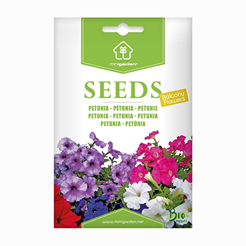 Bio-Petunie-Samen von Minigarden – 100% natürlich, GVO-frei, bereit zur Aussaat, reproduzierbar – 2100–2400 Samen