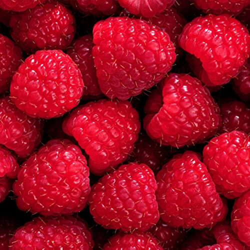 Haloppe 20 piezas de semillas de frutas de frambuesa roja para plantar en el jardín del hogar, semillas de frambuesa roja semillas de frutas dulces saludables para la agricultura Semillas