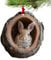 Anhänger für Weihnachtsbaum, Weihnachtsschmuck, Tiere, niedliche Tiere, Acrylschmuck, 2D-Ornamente für Weihnachtsbaum, lebende Tiere, Eule, Eichhörnchen, Igel, Kaninchen, oi