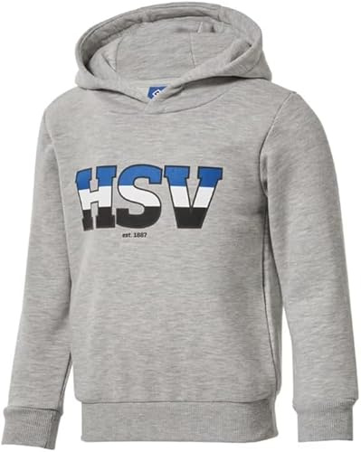 Hamburger SV HSV Kinder Kapuzenpullover Hoodie Pullover ** Nias ** (DE/NL/SE/PL, Numerisch, 116, Regular, Grau)