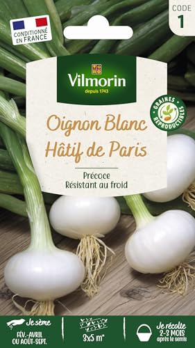Oignon Blanc Hâtif de Paris