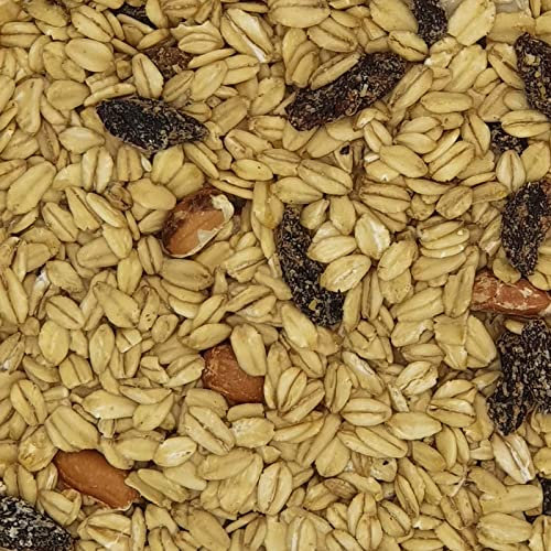 Wildvogelfutter fettreich mit Rosinen 2,5kg - Vogelfutter ganzjährig wintergeeignet