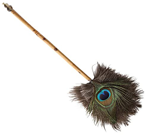 BESTYASH Plumero Práctico Hogar Barredora De Polvo con Mango De Bambú Herramienta De Limpieza De Interiores