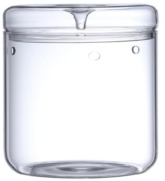 Asyduey Mikro-Landschaftsglasterrarium mit Tausammeldeckel, Bonsai-Vase Aus Glas, Mikroskopische Landschaft, Ökologische Flasche S