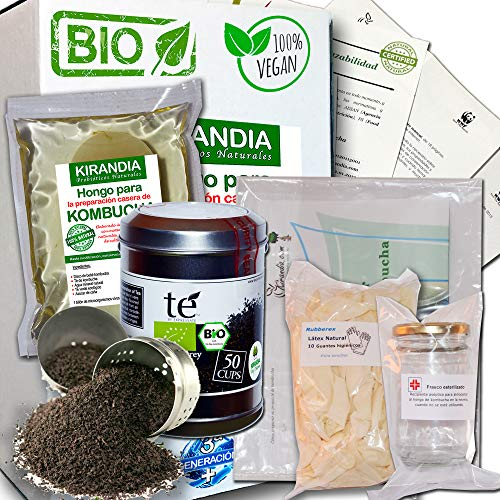 KIT COMPLÈTE KOMBUCHA FRAIS, SCOBY KOMBUCHA - Avec Inscription Sanitaire (RGSEAA) - Préparez Votre Propre Thé Biologique Kombucha à la Maison