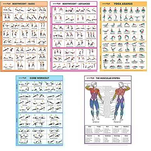 SPORTAXIS laminierte Workout-Poster für daheim ohne Geräte, Farbabbildungen, Bodyweight-Grund-/Aufbauübungen, Yoga, Abs-Training für Männer und Frauen, 45,7 x 68,6 cm, 5 Stück, englische Version