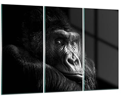 Mehrteilige Bilder auf Glas 165x110cm Glasbild Affe Gorilla Porträt Groß XXL Wanddeko Schlafzimmer Küche Set 3 teilige Wandbilder Dekoration Wohnzimmer Modern Wand Kunstdruck Art GCE165x110-5007