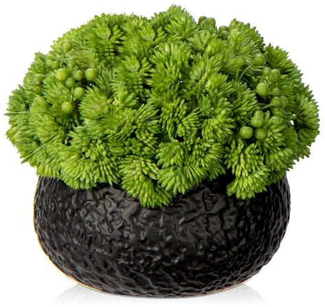 Briful Künstliche Sukkulenten in Keramiktöpfen, künstliches Sukkulenten-Arrangement mit schwarzer Schale, Übertopf, große künstliche Sukkulenten für Zuhause, Badezimmer, Regal, Schreibtisch, Tisch,