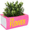 Fisura – Macetero Original con Forma de Libro. Macetero para Regalo. Decoración Original. Maceta Decorativa Rosa. Macetero de Resina. 10,5 x 14,5 x 22 cm.