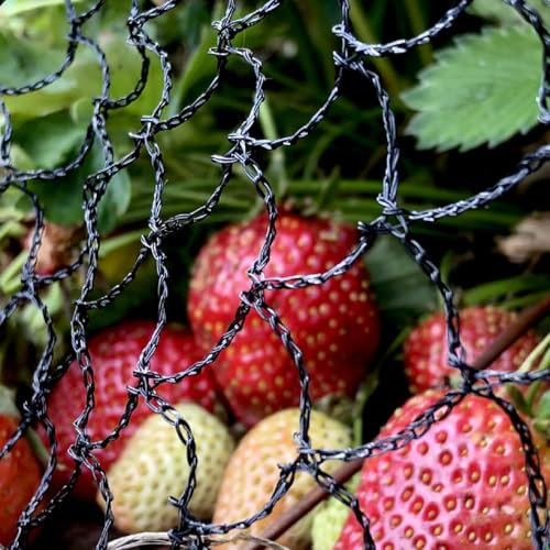 Elixir Gardens Anti Bird Crop Fruit Protection Netting Black Garden Pond Agricultural | Pigeon Seagull Magpie | 6m x 25m