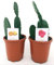 POWERS TO FLOWERS - OPUNTIA, FICO D'INDIA A FRUTTO ROSSO E ARANCIO, 2 PIANTE, Vaso 13cm diametro, piante vere