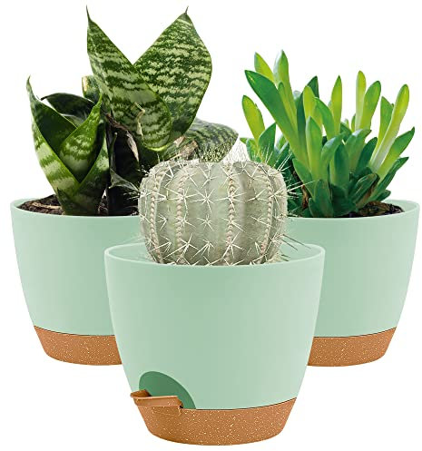 16.5CM Plant Pots Indoor,Self Watering Plant Pots of 3,Flower Pots with Drainage Holes and Trays,Decorative Modern Suitable for flowers,Snake Plant,Orchid,Lily,Aloe,Violet and House Plant(Green)